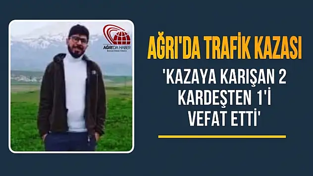 Ağrı'da trafik kazası: 1 ölü 1 yaralı
