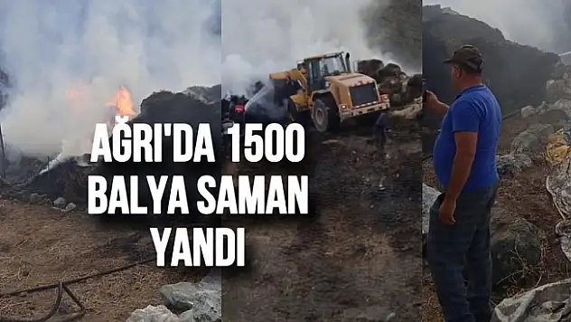 Ağrı'da bin 500 balya saman yandı