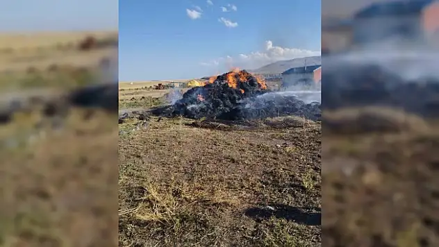 Kars'ta 20 ton ot yanarak kül oldu