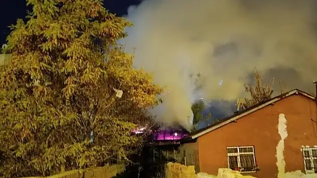 Ağrı'da alevler geceyi aydınlattı