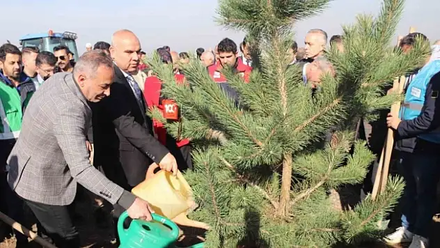 Ağrı'da fidanlar toprakla buluştu