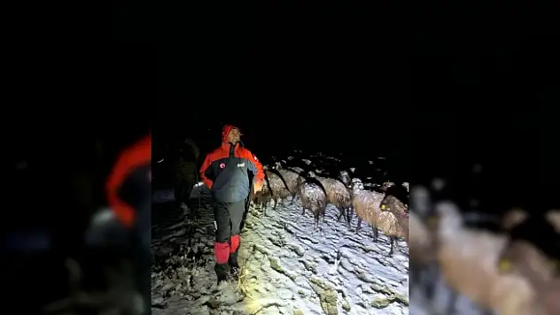 Ağrı'da mahsur kalan 3 çoban ve 3 bin koyun kurtarıldı