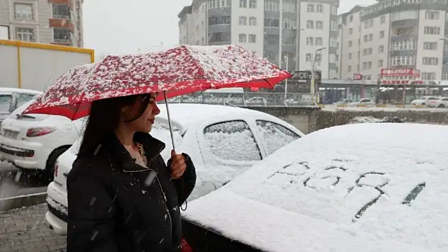 Ağrı Valiliği'nden çığ ve don uyarısı