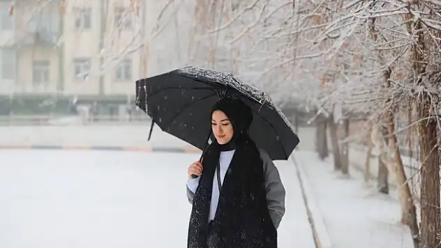 Ağrı'da kar yeniden etkili oldu