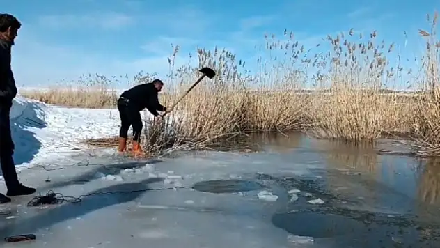 Yüzeyi donmuş nehirde buzu kırıp balık avlıyorlar