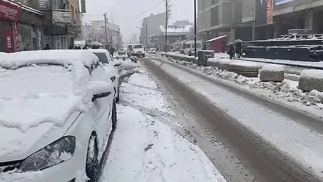 Patnos'ta kar tatili