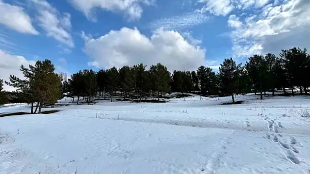 Ağrı'da kartpostallık kar manzaraları