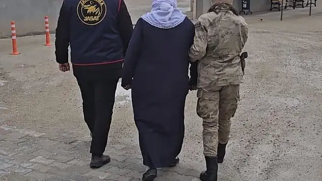 Ağrı'da firari olan 9 kişi jandarma tarafından yakalandı