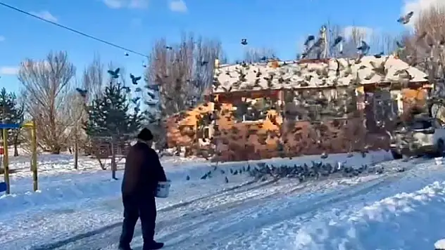 Güvercinleri ile dost oldu, ömrünün yarısını onları besleyerek geçirdi