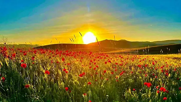 Yeşil ve mavi tonlarını sergileyip cezbeden Patnos Barajı, vatandaşların ilgisini çekiyor