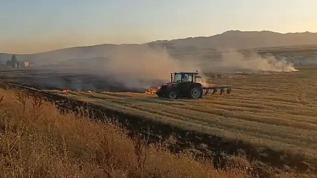 Ağrı'da 5 dönümlük tarla küle döndü