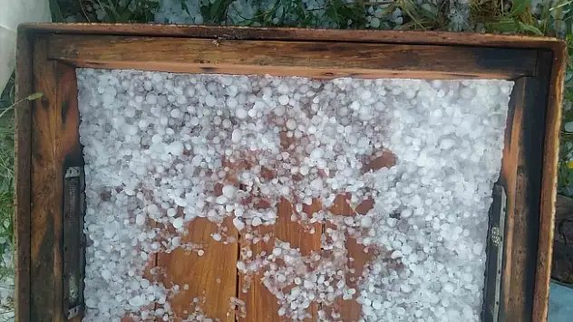 Ağrı'da dolu yağışı ekinlere ve arıcılığa zarar verdi