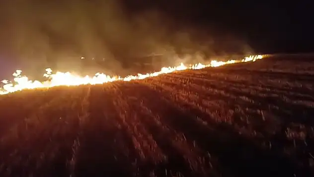 Ağrı'da 3 bin dönümlük tarla küle döndü
