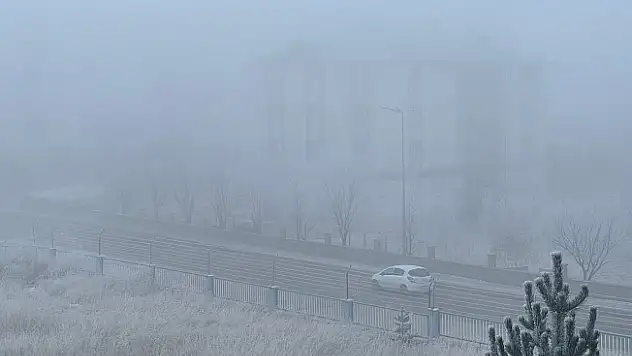 Ağrı'da Soğuk Hava Etkili Oldu