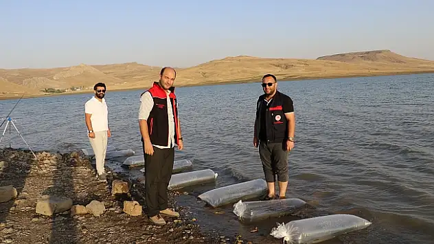 Ağrı'da Yazıcı Barajı'na 100 Bin Yavru Sazan Bırakıldı