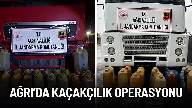 Ağrı Kaçakçılık Operasyonu: 603 Litre Kaçak Akaryakıt ve 127 Paket Sigara Ele Geçirildi