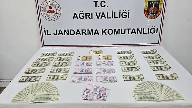 Ağrı'da Jandarmadan Mali Suç Operasyonu: Şüpheli Gözaltına Alındı