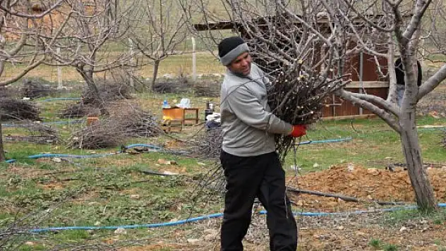 İki dil bilen aşçı, çiftçi oldu