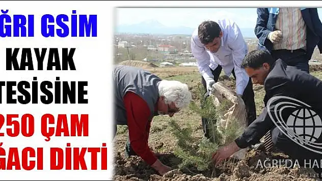 KÜPKIRAN KAYAK TESİSİNE 250 ADET ÇAM AĞACI DİKİLDİ