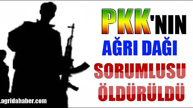 PKK NIN AĞRI DAĞI SORUMLUSU ÖLDÜRÜLDÜ