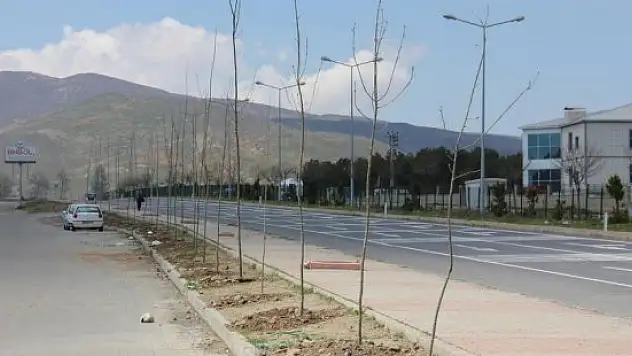 Bingöl Belediyesinden yeşillendirme çalışmaları
