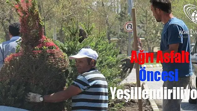 Belediye Asfalt çalışmlarını hızlandırdı.