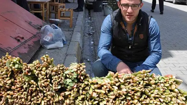 Yüksek dağlarda yetişen 'uçkun' satışa sunuldu