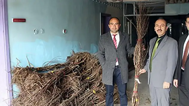 Kars'ta çiftçilere fidan dağıtılacak