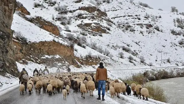 Çatak'ta kar yağışı