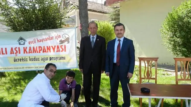 Evcil hayvanlar ücretsiz aşılandı