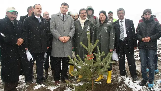 Alaca'da Ermeni çetelerince katledilenler anısına fidan