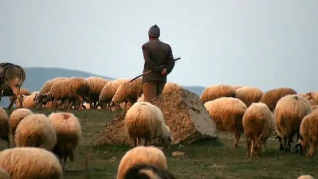 Van'da 9 Çobandan Haber Alınamıyor