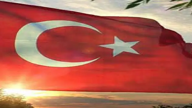 Ermeniler Türk Bayrağına Saldırdı