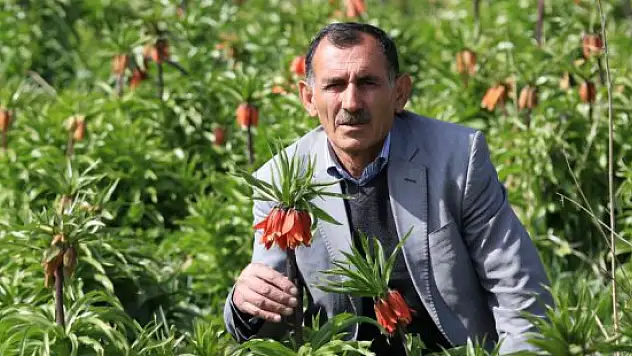 Köylülerin 'ters lale' nöbeti