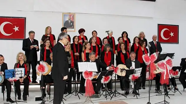 Darende'de konser