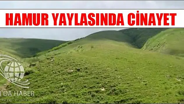 HAMUR YAYLASINDA CİNAYET