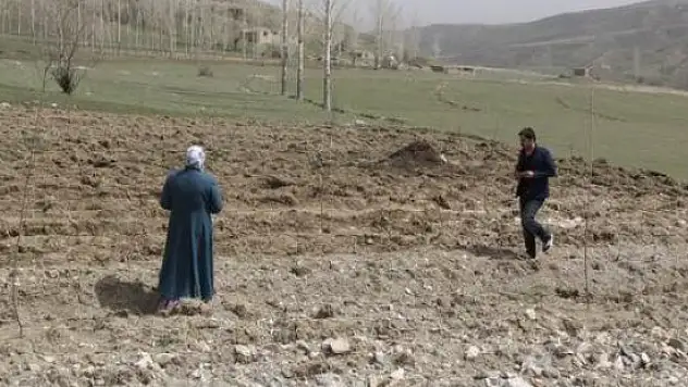 'Başkale Orman Olsun' Kampanyası