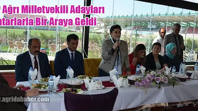 HDP Ağrı Milletvekili Adayları Muhtarlarla bir araya geldi