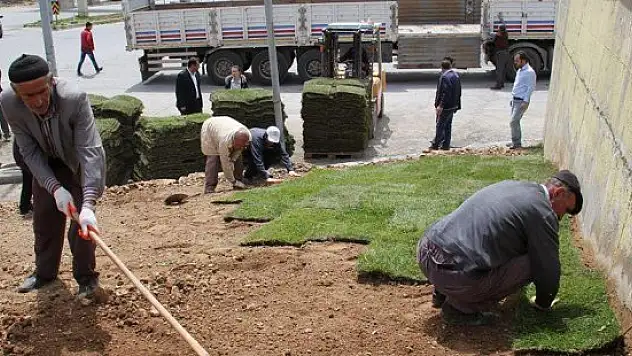 Bitlis'teki refüjleri yeşillendirme çalışmaları