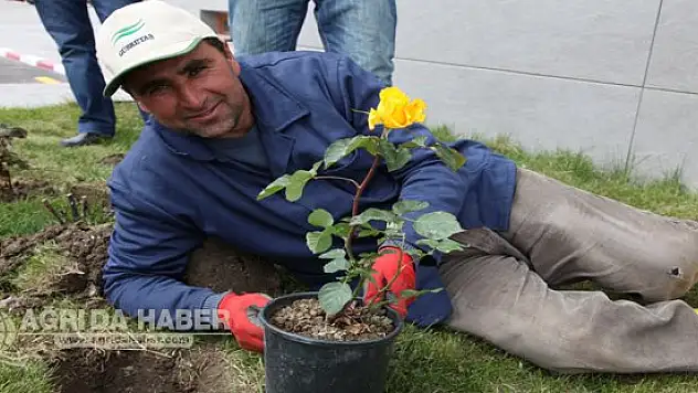 KEŞŞAF İzcilik Kulübü Gül Bahçesi Projesini Hayata Geçirdi