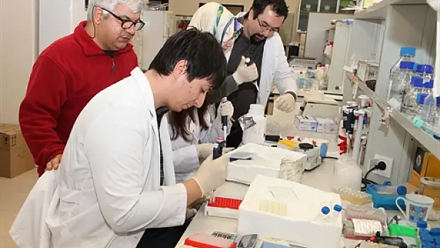 Zeytinyağındaki Hile Dna ile Önlenecek