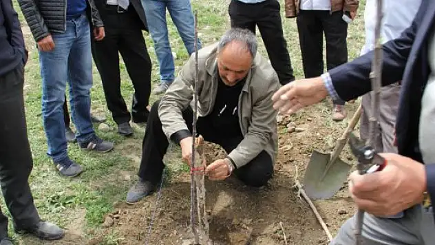 Başkale'de örnek meyve bahçesi kuruldu
