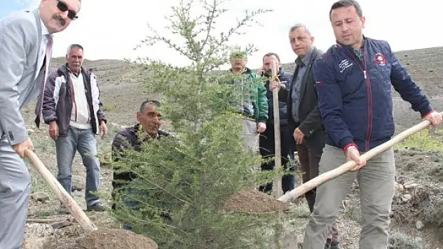 'Bir Kan, Bir Fidan' projesi