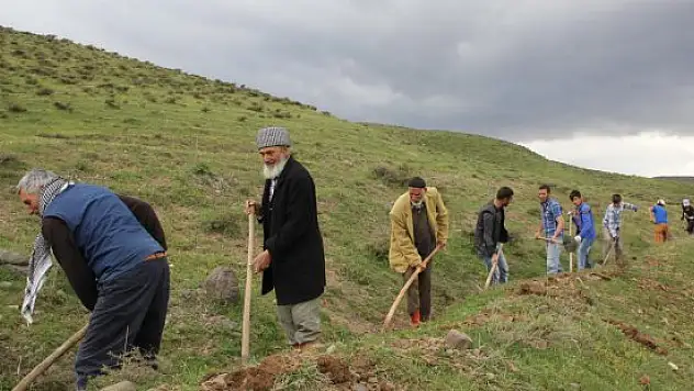 Bingöl'de köylülerin sulama arkını temzilemesi