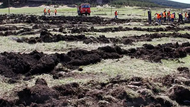 Ardahan'da 'Bereket Ormanı' oluşturuldu