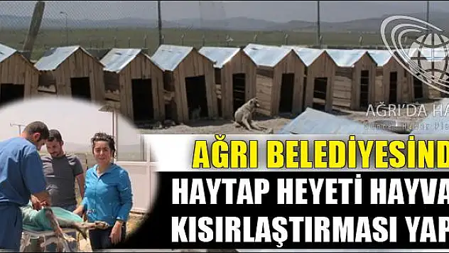 AĞRI BELEDİYESİNDE HAYTAP HEYETİ HAYVAN KISIRLAŞTIRMASI YAPTI