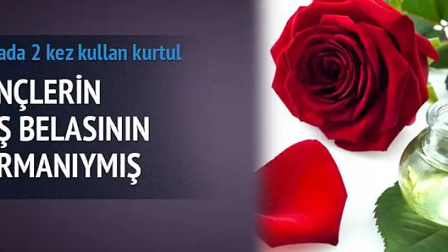 Gülsuyu sivilceleri kurutuyor