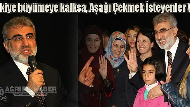 Enerji ve Tabii Kaynaklar Bakanı Taner Yıldız