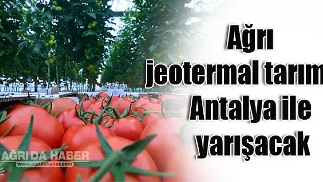 Ağrı jeotermal tarımda Antalya ile yarışacak