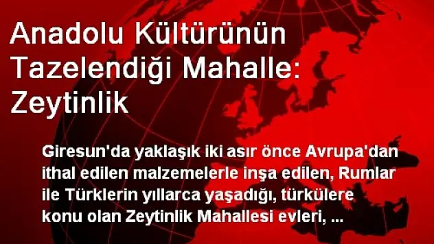 Anadolu Kültürünün Tazelendiği Mahalle: Zeytinlik
